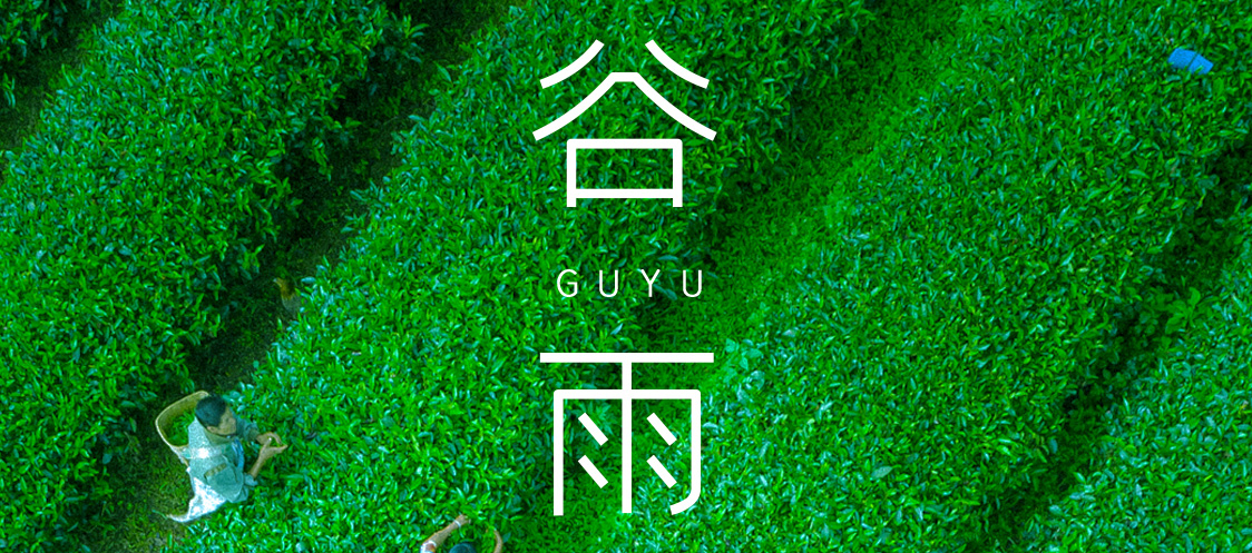 谷雨 | 春雨淋漓 万物更新